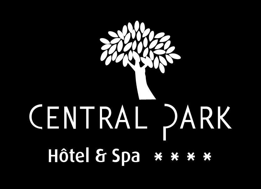 central-park-hotel-spa-3d0dd7-250-120-auto-01